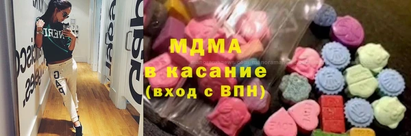 прущие грибы Аркадак