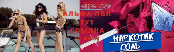 прущие грибы Аркадак