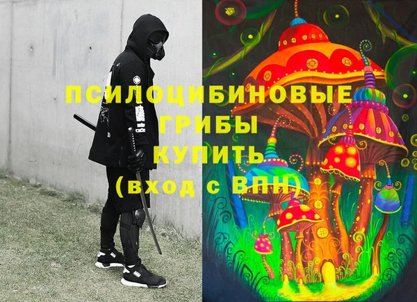 прущие грибы Аркадак