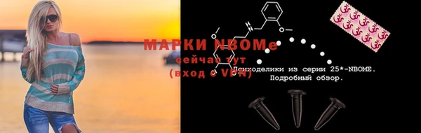 прущие грибы Аркадак