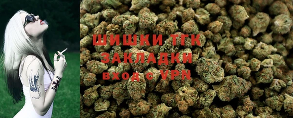 прущие грибы Аркадак