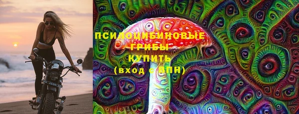 прущие грибы Аркадак