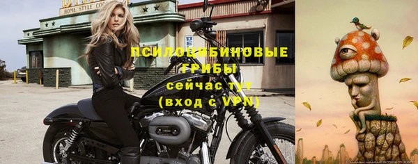 прущие грибы Аркадак