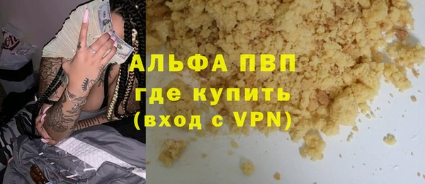 прущие грибы Аркадак