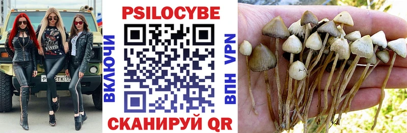 Галлюциногенные грибы Magic Shrooms  купить наркотики цена  блэк спрут зеркало  Инта 